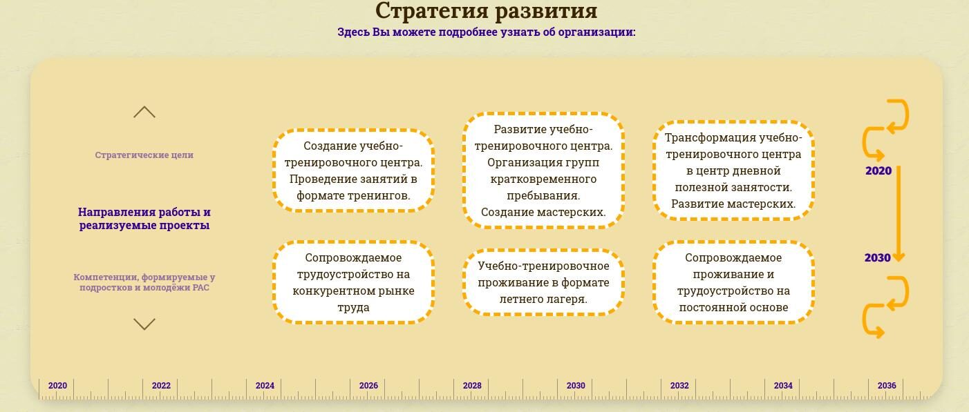 Блок «Стратегия развития» на сайте АНО «Шаг за шагом»: планы организации в одном блоке